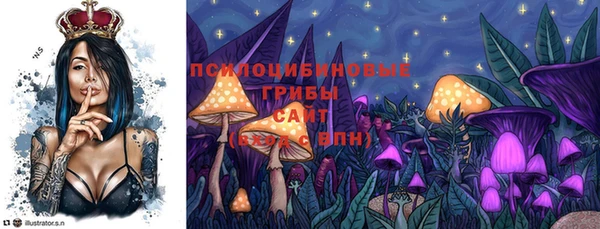 СК Новокубанск