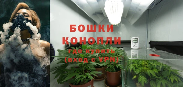 сатива Ладушкин