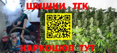 шишки Камышлов