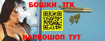 шишки Камышлов