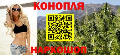 шишки Камышлов