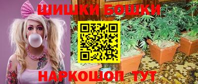 шишки Камышлов