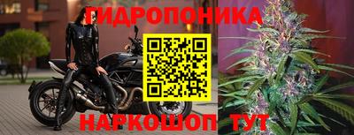 не бодяженный Канаш