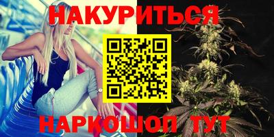 шишки Камышлов