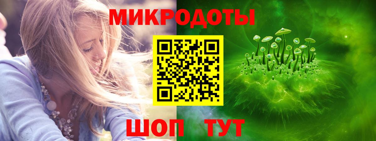 Псилоцибиновые грибы прущие грибы Мелеуз